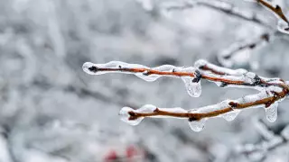 22-градусные морозы придут в Казахстан