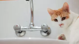 Почему вода не поднимается до верхних этажей в домах астанчан