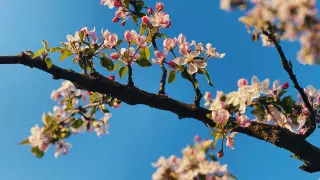 Какой будет погода в апреле в Казахстане