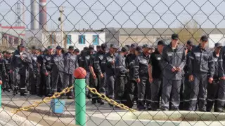 Осужденный 2 года занимался интернет-мошенничеством из колонии