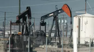 ОАЭ, Оман, Кувейт, Ирак и Алжир добровольно сократят добычу нефти