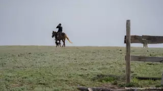 Как правительство планирует удерживать людей в селах