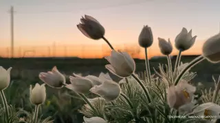 Сильный дождь и заморозки: погода в Казахстане 5 апреля