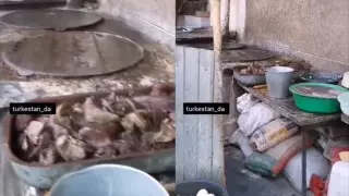 Видео ужасает: в каких условиях готовили еду в одном из кафе Туркестанской области