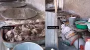 Видео ужасает: в каких условиях готовили еду в одном из кафе Туркестанской области
