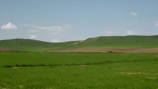 Токаев подписал закон, меняющий правила выдачи земельных участков