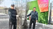 "АрселорМиттал Темиртау" высадили 30 000 саженцев в Карагандинской области