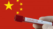 Данные о происхождении COVID-19 опубликовали китайские ученые