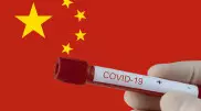 Данные о происхождении COVID-19 опубликовали китайские ученые
