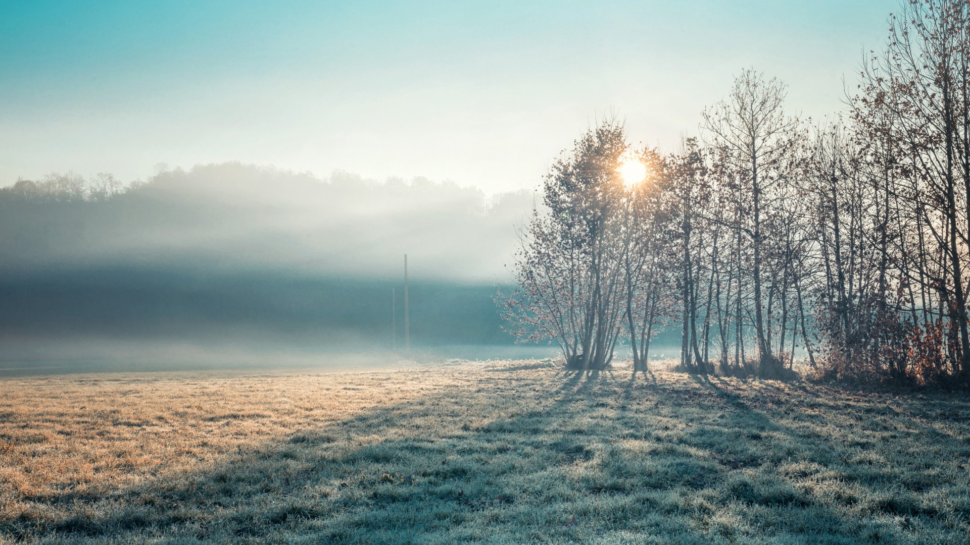 Низких зима. Low Fog.