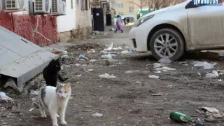 "Просто помойка": что происходит во дворах Актобе, показали жители