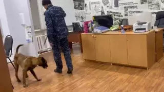 Неизвестный представился "шахидом" и сообщил о бомбе в редакции СМИ в Уральске