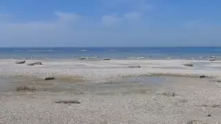 Виноваты землетрясения в Турции? Новая версия обмеления Каспия вызвала широкий резонанс