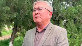 Опасный вирус обнаружили в импортных помидорах, завезенных в Казахстан