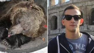 В Италии разгорелись споры о судьбе медведя-убийцы