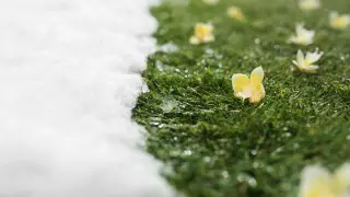 Синоптики предоставили прогноз погоды в Казахстане на 3 дня