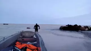 30 лошадей вмерзли в лед в Акмолинской области