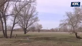 В пригороде Актобе стало негде пасти скот