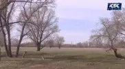 В пригороде Актобе стало негде пасти скот