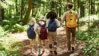 Чем занять школьников на каникулах: языковые летние лагеря за рубежом