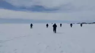 Женщина насмерть замерзла в степи в Павлодарской области