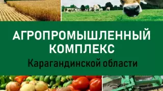 В Карагандинской области запустят линию по очистке семян