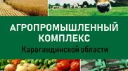 В Карагандинской области запустят линию по очистке семян
