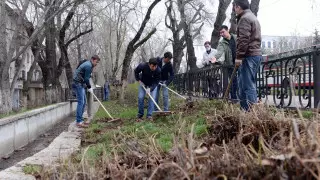 Аким Алматы обратился к "микрофонным активистам" и пригласил всех на субботник