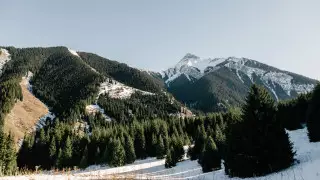 В горах Алматы выставили блокпосты