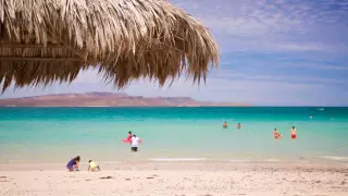 "Продукт жизнедеятельности человека". Бактерии "захватили" популярный пляж