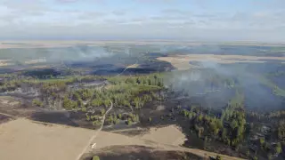 Крупный пожар в Костанайской области: руководителя лесхоза будут судить