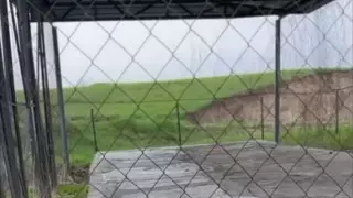 "Шокирующая находка". Волонтеры узнали, куда исчезают собаки в Талгаре