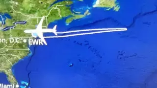 "Он просто хотел в туалет". Мужчина устроил драку и сорвал рейс в Израиль