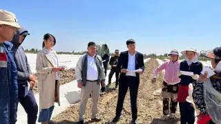 Активисты в Туркестанской области рассказывают молодежи о госпрограммах