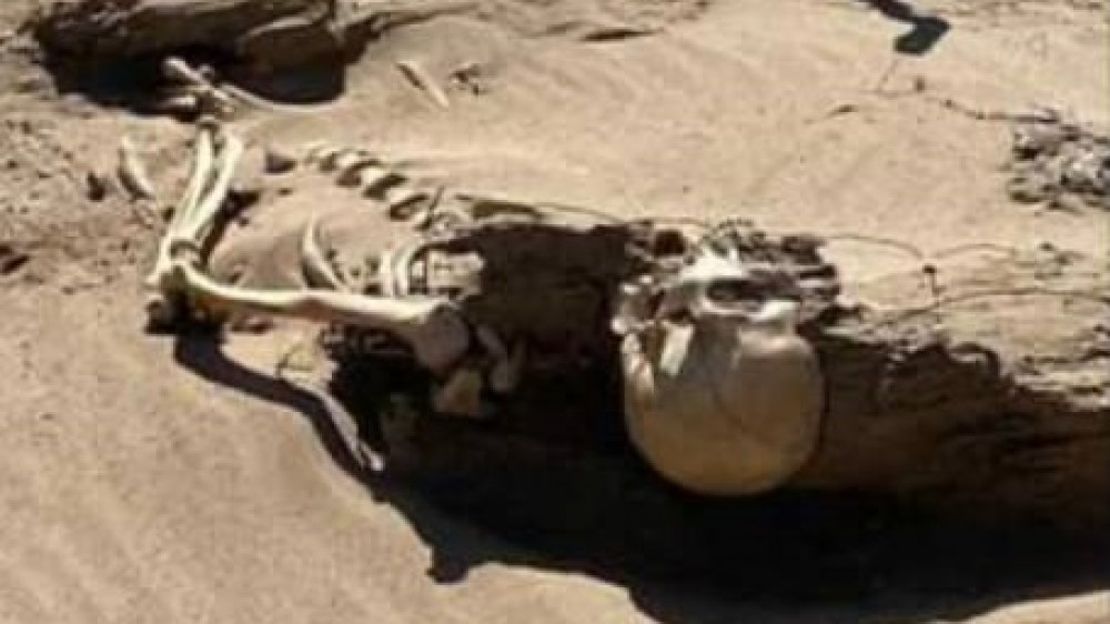 Ветер открыл захороненные в песке кости в Кызылорде