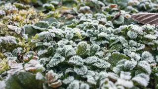 Морозы до 10 градусов ожидаются в Казахстане