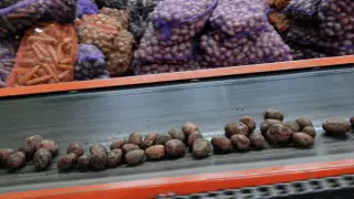 "Этого недостаточно". Премьер заявил о нехватке овощехранилищ