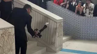 Таракан стал звездой одного из главных модных событий года - Met Gala