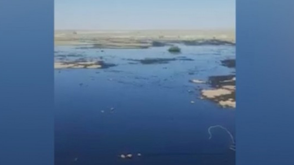 Нефть попала в Каспий с бесхозного месторождения в Мангистау