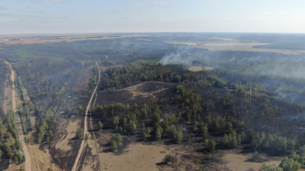 Крупный пожар в Костанайской области: руководителя лесхоза судят за коррупцию