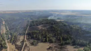 Крупный пожар в Костанайской области: руководителя лесхоза судят за коррупцию