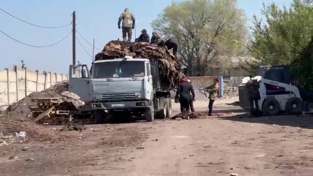 Трупный запах в селе Алматинской области: прокуратура назвала виновных