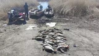 Браконьер-полицейский задержан в СКО