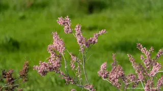 Какой будет погода 10 мая в Казахстане