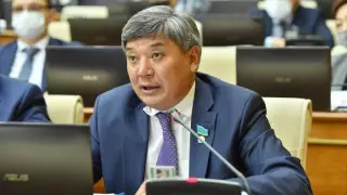 Депутат спросил главу МВД о задержании казахстанского журналиста