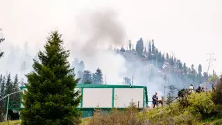 Крупный пожар на Медеу: в ДЧС рассказали о расследовании