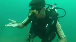 Грозит тюрьма: турист дотронулся до рыбы в море, вызвав гнев властей Таиланда