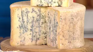 Черви, плесень, запах: названы 5 самых "гадких" и дорогих сыров в мире