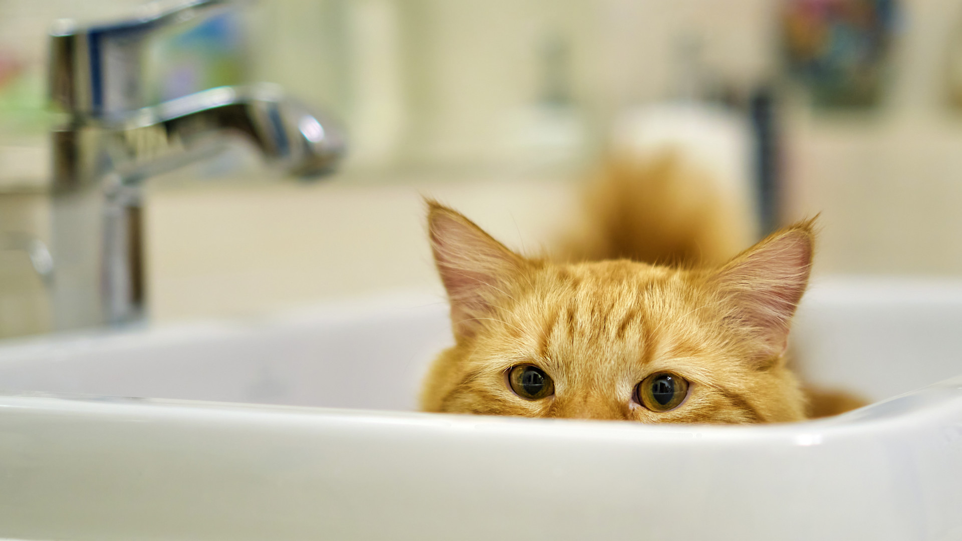 Холодную воду отключат в нескольких микрорайонах Алматы: 15 мая 2023 ...