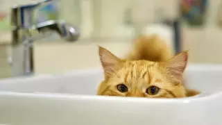 Холодную воду отключат в нескольких микрорайонах Алматы